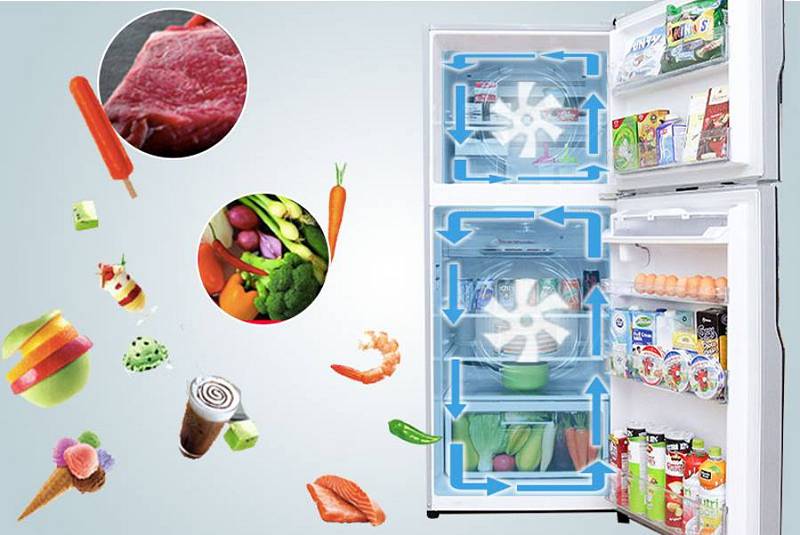 Tủ lạnh nào tốt nhất hiện nay? Những yếu tố để xác định loại tủ lạnh tốt